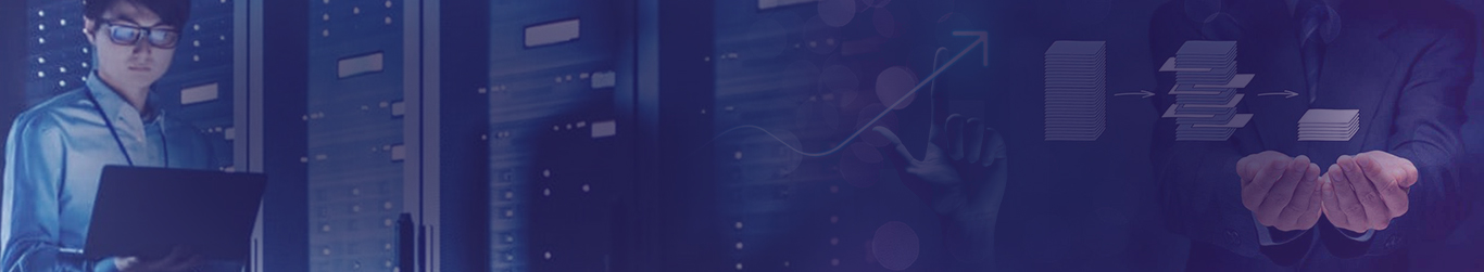 data mining services